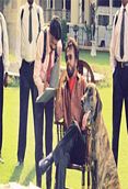 பாட்ஷா - Baatsha (1995)